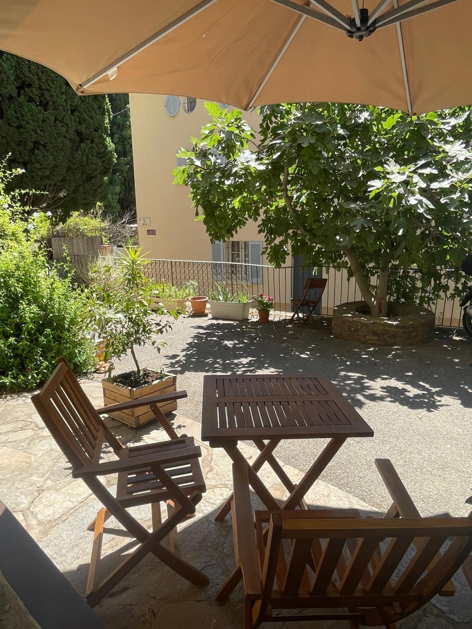 Cosy Studio - Place Du Figuier Bormes-les-Mimosas Luaran gambar